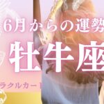 【驚き‼️】6月からの牡牛座 👍大きな選択の人も！お祝しましょう🌈恋愛運、結婚運、仕事運🎉タロット﻿ オラクルカード　星座占い@おむすびタロット