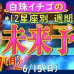 ★忖度なし★2025年6月5日〜6月15日の星座別☆週間未来予報★運気を上げるアドバイスつき★
