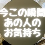 🌈今この瞬間あの人のお気持ち🌈【🔮ルノルマン＆タロット＆オラクルカードリーディング🔮】（忖度なし）