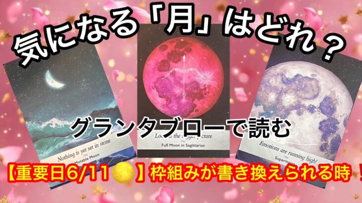 【重要日6/11🌕】この今日❗️あなたに急いで伝えたい✨緊急メッセージ💌🏇【ルノルマンカードリーディング占い】恐ろしいほど当たる😱