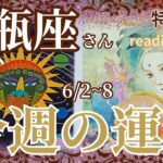 凄〜ぃ✨水瓶座さん特化型【今週の運勢】♒️6/2~8＊reading＆talk『スピな話し』私なりのパラレル解釈😅