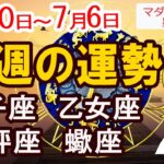 【6/30～7/6今週の運勢】獅子座・乙女座・双子座・蠍座｜気持ちが整う一週間に♪
