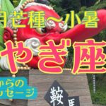 【本来の姿の開花‼️癒しの大転換期✨✨✨】やぎ座さん♑️恵みの芒種から節目の夏至を経て小暑まで🍀五龍神からの開運メッセージ🍀