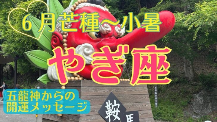 【本来の姿の開花‼️癒しの大転換期✨✨✨】やぎ座さん♑️恵みの芒種から節目の夏至を経て小暑まで🍀五龍神からの開運メッセージ🍀