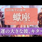 【蠍座】6月後半／マイペースでも幸運は逃げない！今しんどい方もｺｺから上がってく！😳✨🎉【運勢】【タロット】【さそり座】