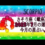 さそり座（蠍座)・2025年7月の運勢｜今月の星占い.