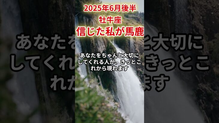 【牡牛座】2025年6月後半おうし座の運勢「信じた私が馬鹿」#牡牛座 #おうし座 #牡牛座の運勢