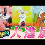 【本当に起きる❤️】恋の急展開！大進展❗️奇跡的進展・出会い・復縁・再会、、、あなたに起きるのはどれ？　個人鑑定級✨タロット占い