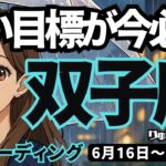 【双子座】♊️2025年6月16日の週♊️高い目標を求めて進む。新しい私がスタートする時。ふたご座。タロットリーディング