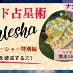 アシュレーシャー ・ナクシャトラ特別編 | インド占星術