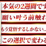 【覚悟必須】ええっ、やばい！牡牛座さん、2週間以内に“すべてが動き出す”瞬間が来ます。選ぶのは、あなたです【運勢タロット占い】
