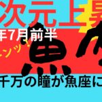 【魚座7月前半運勢】神回！夏至パワーで最高結末！魚座さんと2億４千万の瞳大熱唱！いつもご視聴頂き有難うございます😊