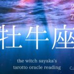 【牡牛座】7月前半♉️喜びに満ち、人生が上向いていく。感じていることが答えで、それが正解なの
