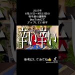 2025年夏至〜秋分の牡牛座の運勢　#タロット #タロット占い #占い #占い師 #占い当たる #占いyoutube #仕事運 #恋愛 #無料占い