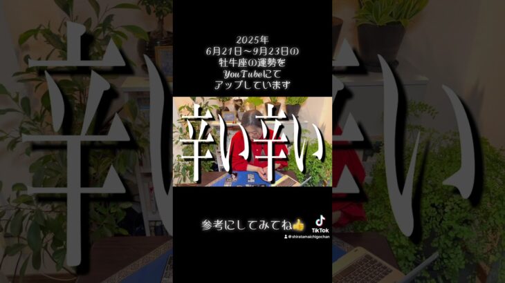 2025年夏至〜秋分の牡牛座の運勢　#タロット #タロット占い #占い #占い師 #占い当たる #占いyoutube #仕事運 #恋愛 #無料占い
