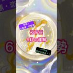 #双子座 #6月の運勢 #星座占い 12星座による金運仕事運恋愛運