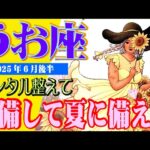 【魚座♓️6月後半の運勢】やったね！運命の輪が回り始める❤️🥰もっと自分が楽しんで✨💕仕事人間関係家庭運恋愛アドバイス♪