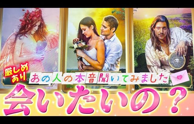 【⚠️ハッキリYES or NO】今、私に会いたいと思ってる？あの人の今の本音💗聞いてみました　あなたへの本当の気持ち💌個人鑑定級✨タロット