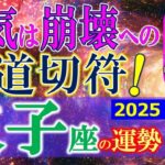 ★忖度なし★白珠イチゴが占う2025年夏至〜秋分の運勢★双子座★