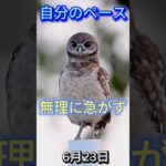 2025年6月23日♉おうし座・運勢・ラッキーマンテ #shorts