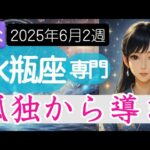 【みずがめ座♒️週間占い6月9日～】孤独、疎外感、それこそが導きとなる時 水瓶座の運勢占い 2025年