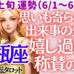 【♒水瓶座さん💖6月上旬・前半運勢】〈予期せぬ出来事で力を発揮し称賛される✨頑張ってきた事が報われる瞬間に愛と幸せが溢れ出す‼〉 人生幸転タロットリーディング 占い みずがめ座 太陽星座・月星座