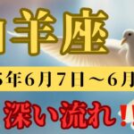 山羊座♑️今週の占い🔮深い週になりそうだよ✨✨✨