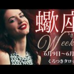 【大アルカナ世界がきた❣️】蠍座さんの週間リーディング✨6月9日〜6月15日迄💐1つのフェーズが終わり、新しい世界へ上がる時😊