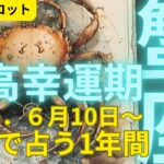 (占星術タロット★１年間リーディング）蟹座★１２年に１度の幸運期★２０２５年６月から１年間の大幸運期が始まる★木星＆土星で未来をズバットリーディーグ