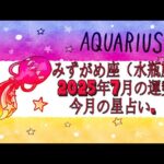 みずがめ座（水瓶座)・2025年7月の運勢｜今月の星占い.