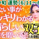 【♊双子座さん💖6月中旬運勢】〈自分のやりたい学びが見つける📝学んでいると貴方の素敵さが見つかる✨学びに集中するため掃除もしてね✨〉 人生幸転タロットリーディング 占い ふたご座 太陽星座・月星座