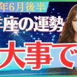 【山羊座】2025年６月後半のやぎ座の運勢「一大事です」