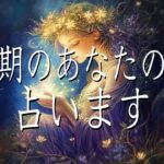 下半期のあなたの流れ占います👀