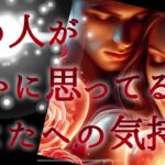 【🌷見た時がタイミング🌷】あの人が密かに思ってるあなたへの気持ち💘