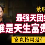 紫微斗数算命，最强天团组合紫府同宫格，谁是天生的富贵命，紫微斗数命理馆&三锋道长#運勢 #正能量 #youtube