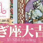 山羊座♑疑ってしまうくらい嬉しい大吉報🏇もうすぐ起こる大吉報🏇どんな？🏇いつ頃？🌝月星座やぎ座さんも🌟タロットルノルマンオラクルカード