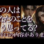 ⚠️辛口あり⚠️あの人はあなたのことをどう思ってる？占い💖恋愛・片思い・復縁・複雑恋愛・好きな人・疎遠・タロット・オラクルカード