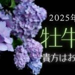 【牡牛座さん♉︎】2025年6月の星座リーディング🌸🫧