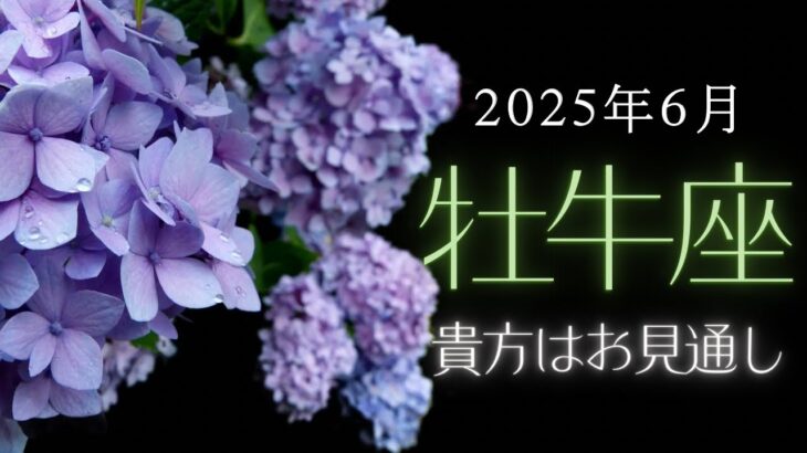 【牡牛座さん♉︎】2025年6月の星座リーディング🌸🫧