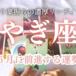 山羊座🐐６月取り組むことに対しての大切なメッセージが✨個人鑑定級の濃厚リーディング