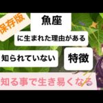 魚座生まれて来た理由をお話しします。知られていない特徴性質もお話しします