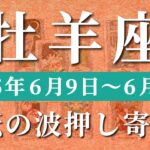 牡羊座 【 おひつじ座 ♈ 】週間リーディング( 2025年 6月9日の週) 運命覚醒！新章突入！拡大加速✨🔑 牡羊座 タロット占い