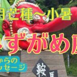 【最強浄化からすごい流れがきます‼️稀少な大転換期✨✨✨】みずがめ座さん♒️恵みの芒種から節目の夏至を経て小暑まで🍀五龍神からの開運メッセージ🍀