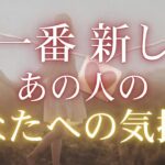 今一番新しいあの人のあなたへの気持ち 【 恋愛・タロット・オラクル・占い 】