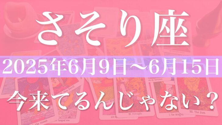 【さそり座】1週間の運勢（2025年6月9日〜6月15日）♏️前進のチャンス到来！新しい情熱の炎、運命の流れを感じる好転
