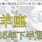 【山羊座♑︎】2025年下半期リーディング ここまで頑張って来た山羊座さんへ。夢を夢のままで終わらせない！その前に一旦、褒めて褒めて褒めまくれーい！
