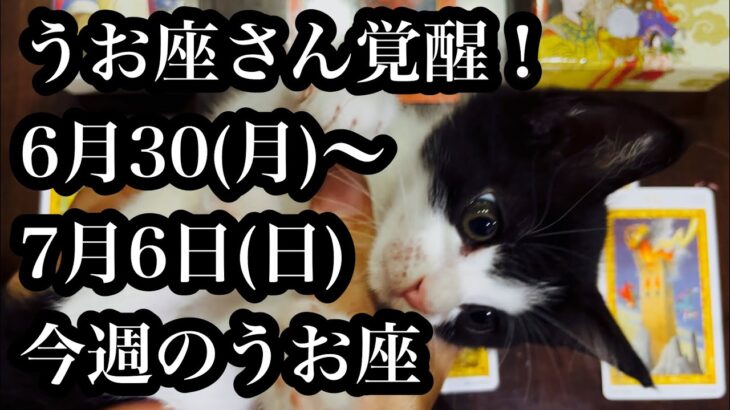とんでもないことが起こる？ついに7月5日！今週のうお座さんIs something amazing happening? It’s finally July 5th! Pisces this week