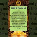 Luận Giải Tử Vi, Phong Thủy, Nhân Tướng, Thần Số Học | Cộng Đồng Phong Thủy Số Việt Nam #hvptsvn