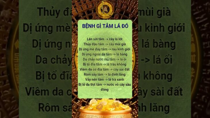 Luận Giải Tử Vi, Phong Thủy, Nhân Tướng, Thần Số Học | Cộng Đồng Phong Thủy Số Việt Nam #hvptsvn