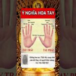 Luận Giải Tử Vi, Phong Thủy, Nhân Tướng, Thần Số Học | Cộng Đồng Phong Thủy Số Việt Nam #hvptsvn